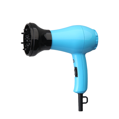 8006(Mini hair dryer with diffuser)