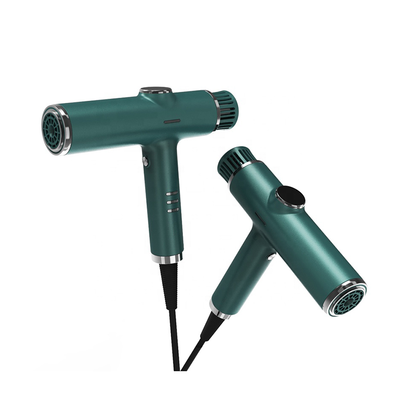Secador Professional Multi Hair Dryer
