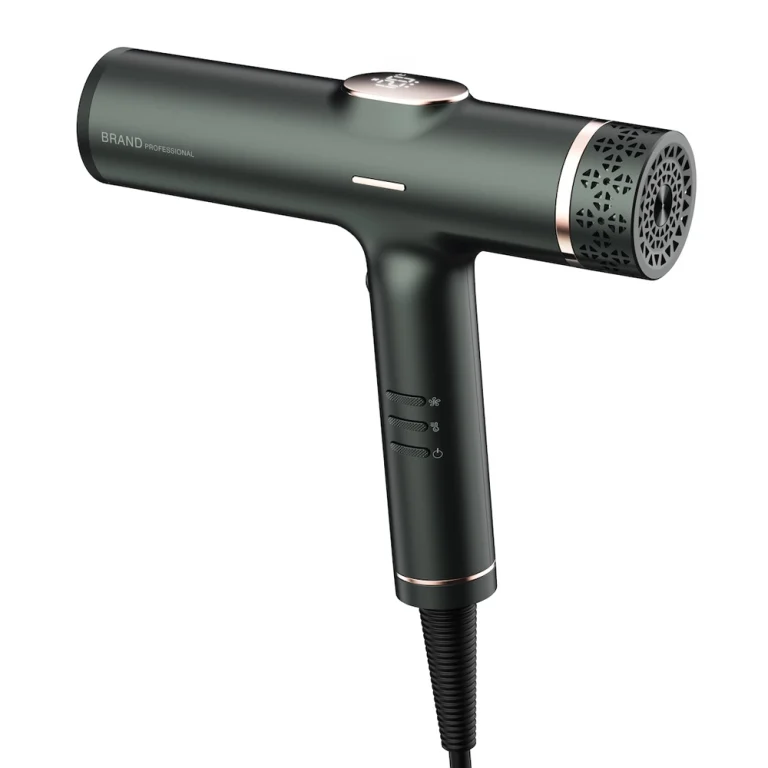 brushless hair dryer(1)