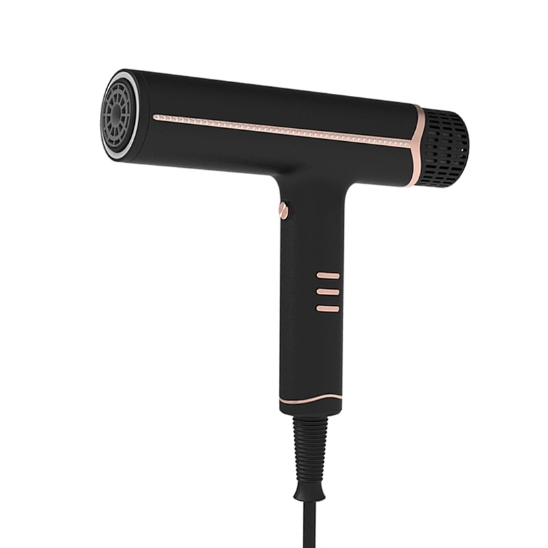 brushless hair dryer(2)