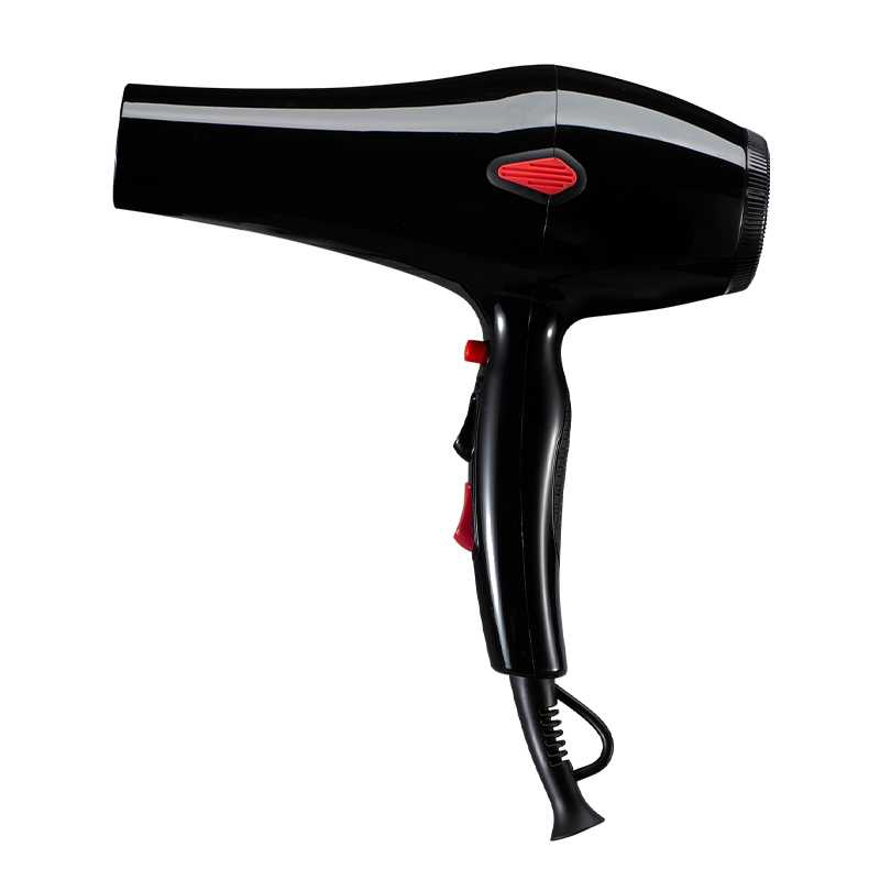 2400W Power Hair Dryer