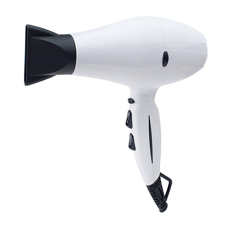 Ac Motor For Hair Dryer