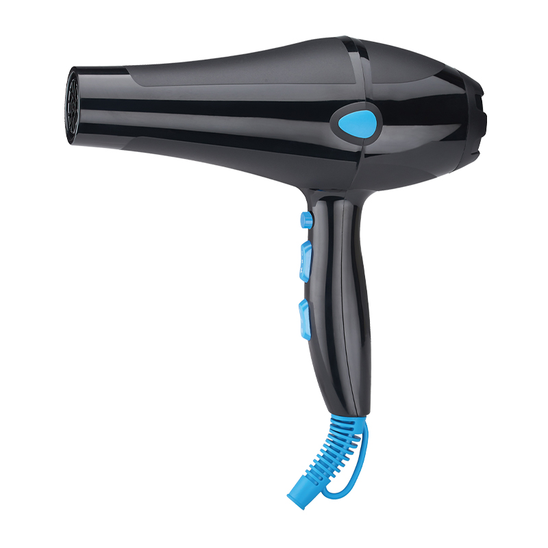 Customizable Salon Hair Dryer
