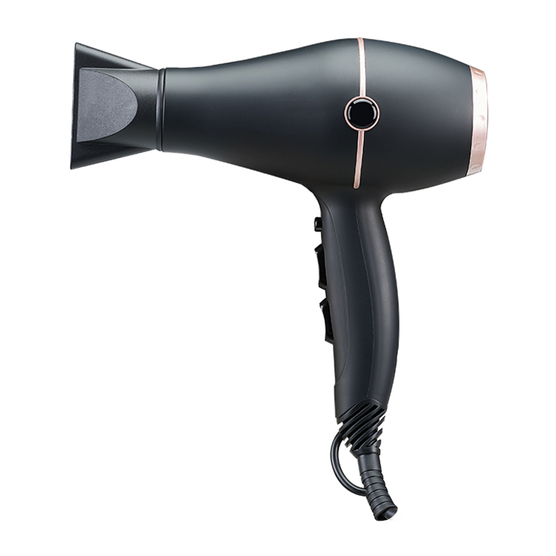 Dual Voltage Powerful Hair Dryer