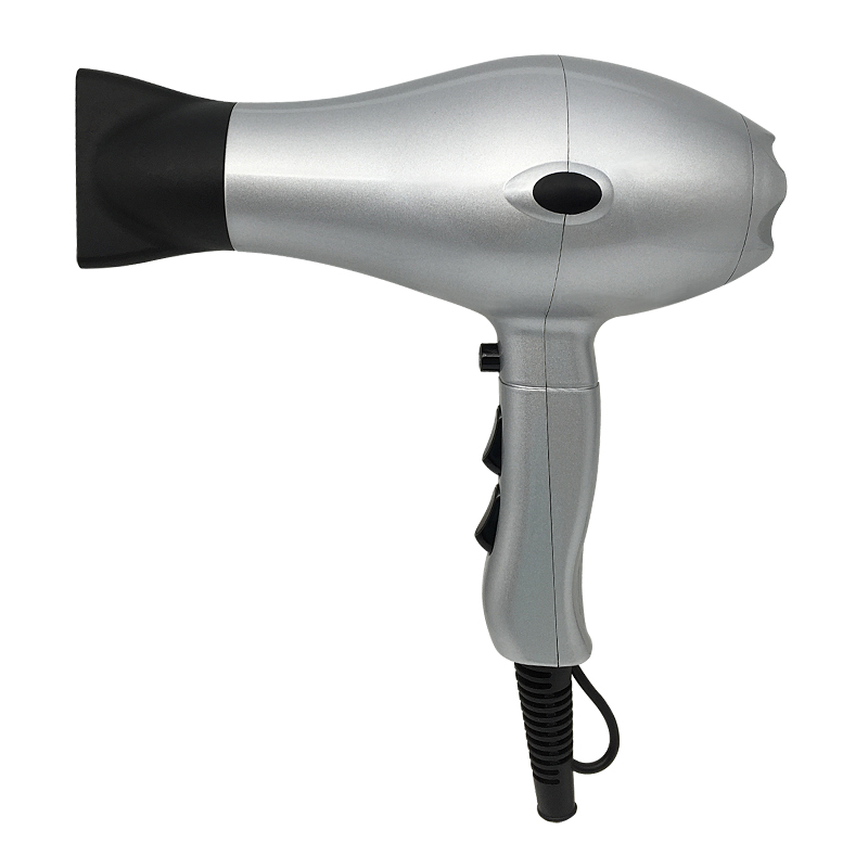 Fast Drying Salon Hair Dryer
