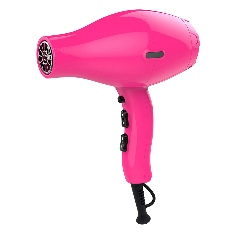 Hair Dryer Salon Use
