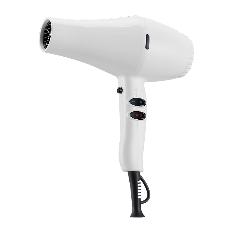 High Power Travel Hair Dryer
