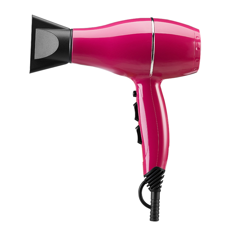 Multi Styler Professional Salon Hair Dryer