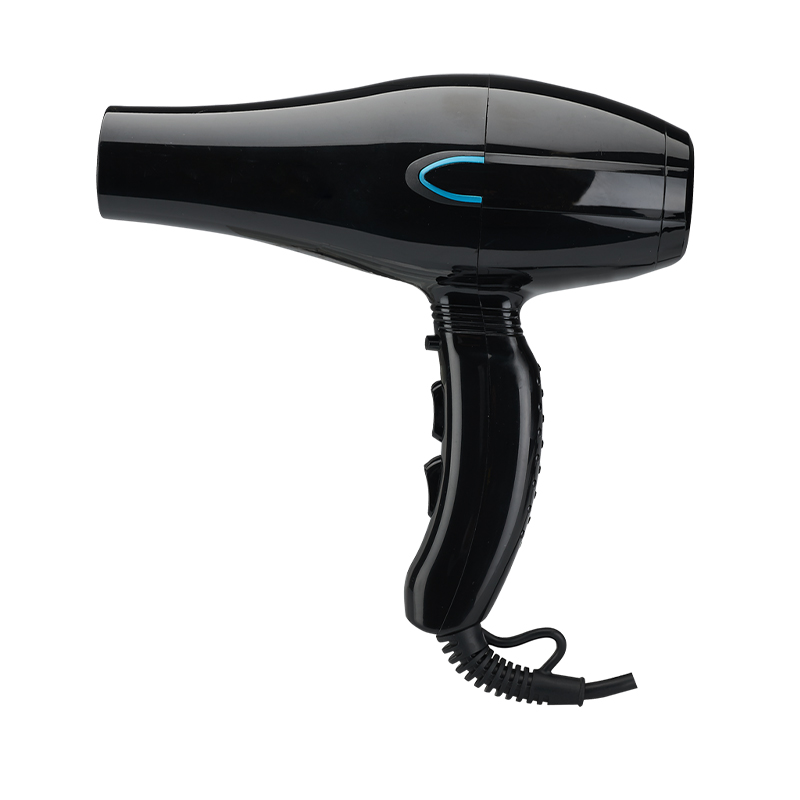 Multifunctional Hair Dryer