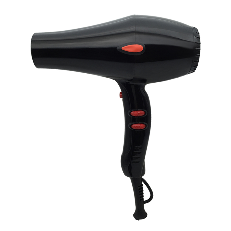 Professional Hair Dryer For Salon Home Use