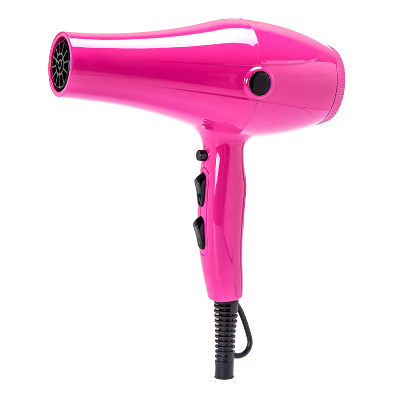 Professional Hair Dryer For Salon