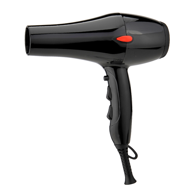 Professional Ionic Hair Dryer