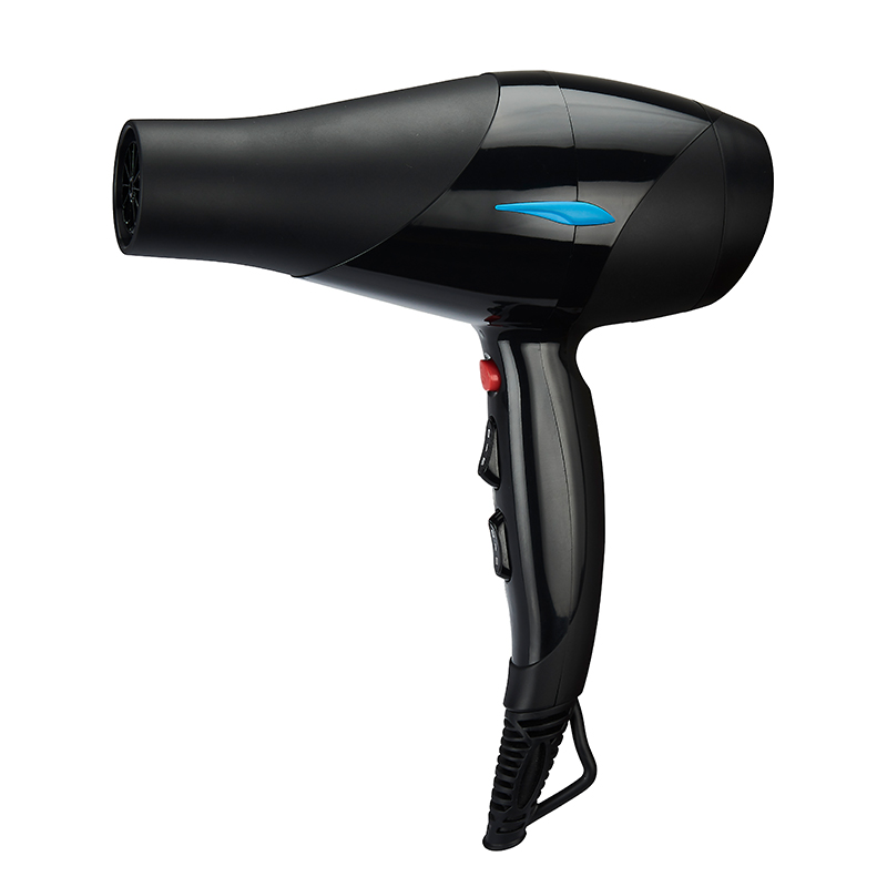 Professional Multifunctional Hair Dryer