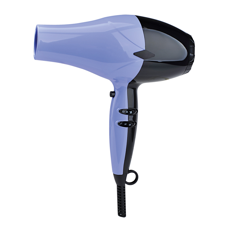 Salon Equipment Hair Dryer
