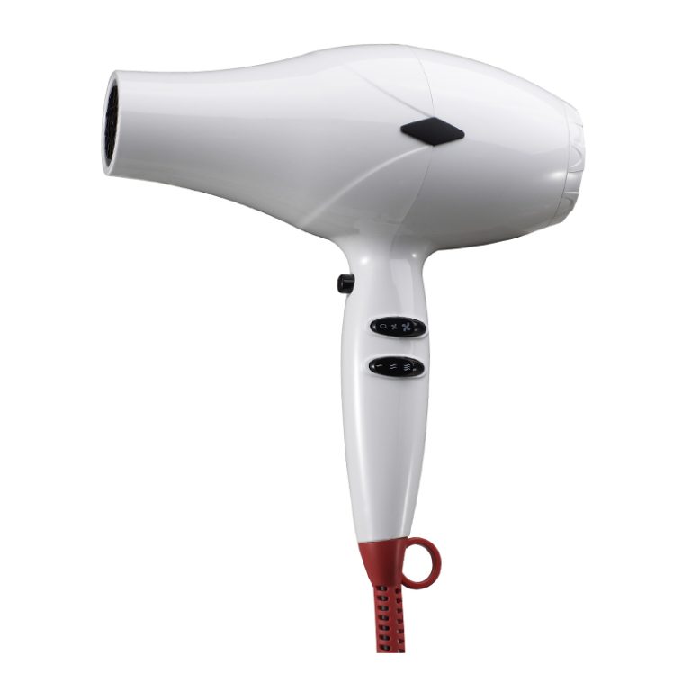 Salon Equipment Hair Dryer