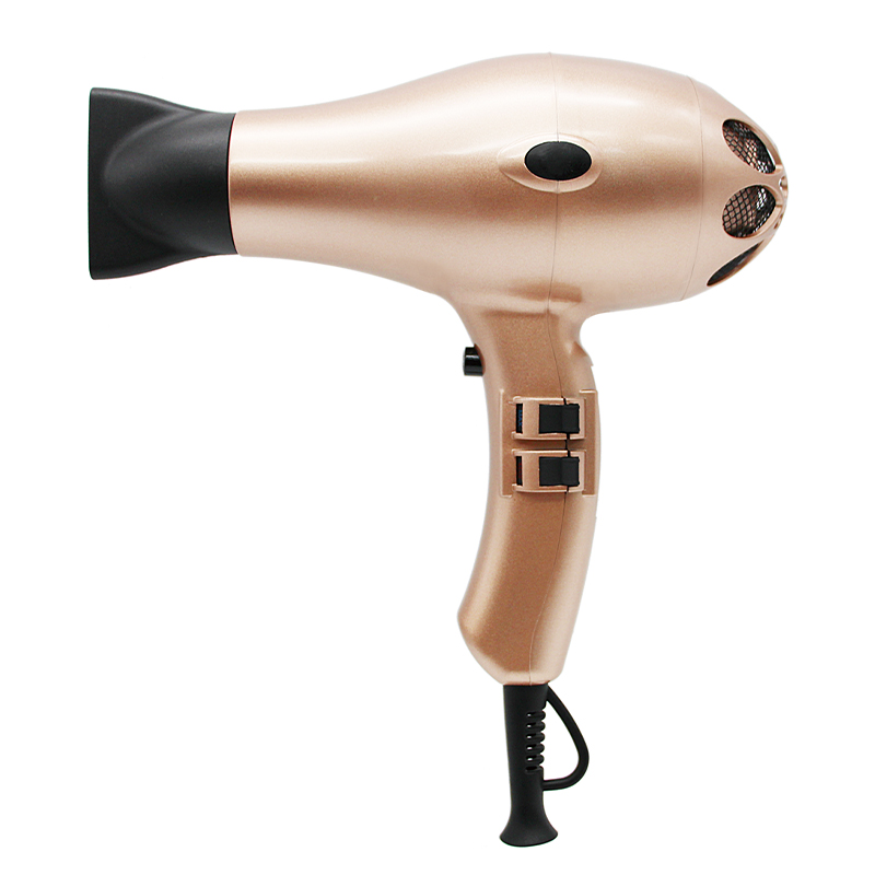 Salon Ionic Hair Dryer