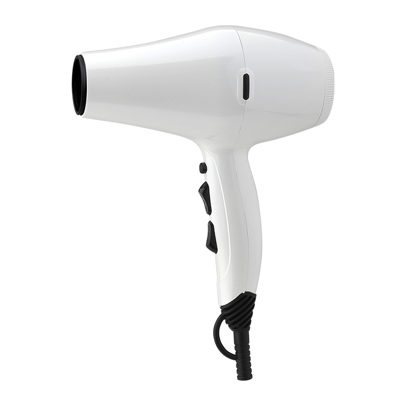 Strong Wind Hair Dryer Blower
