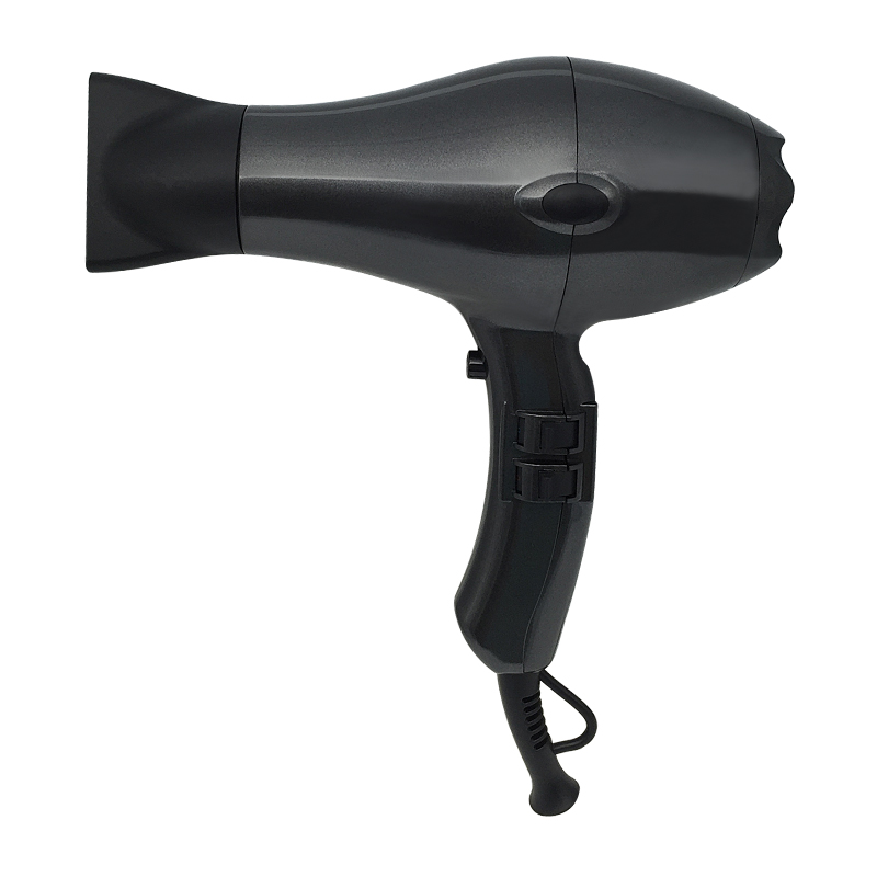 Traditional Ionic Hair Dryer