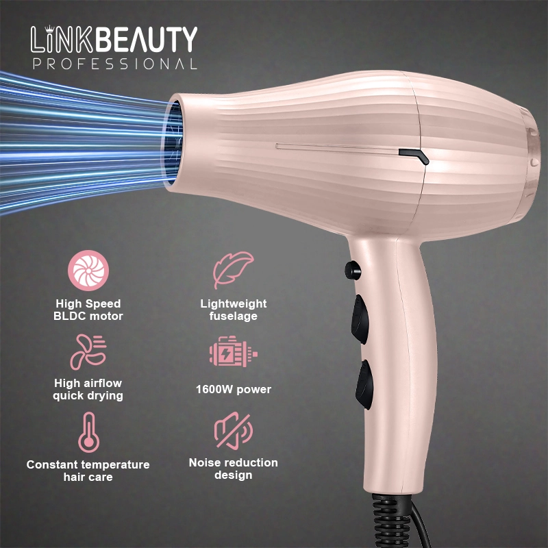 bldc motor hair dryer2