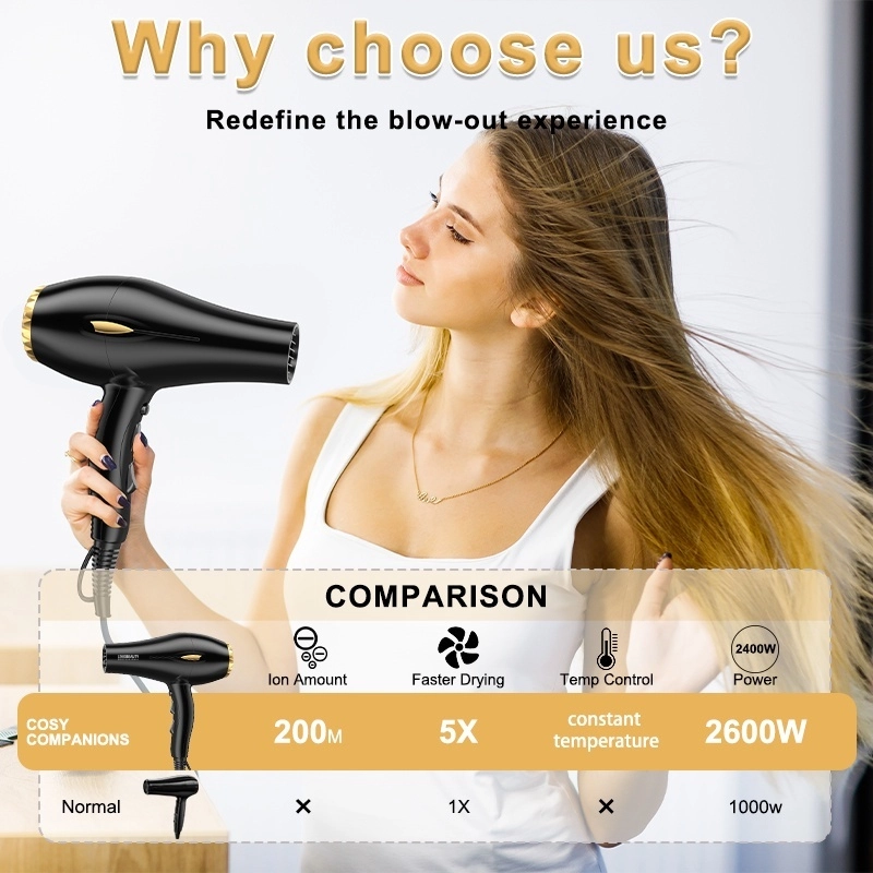 Hair Dryer Sample Evaluation Checklist Before a Bulk Order Link Beauty 2600W high speed ionic hair dryer feature comparison